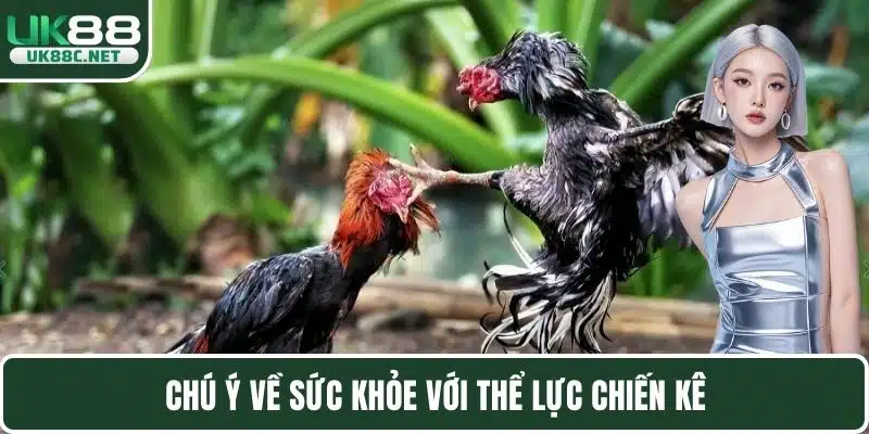 Chú ý về sức khỏe với thể lực chiến kê