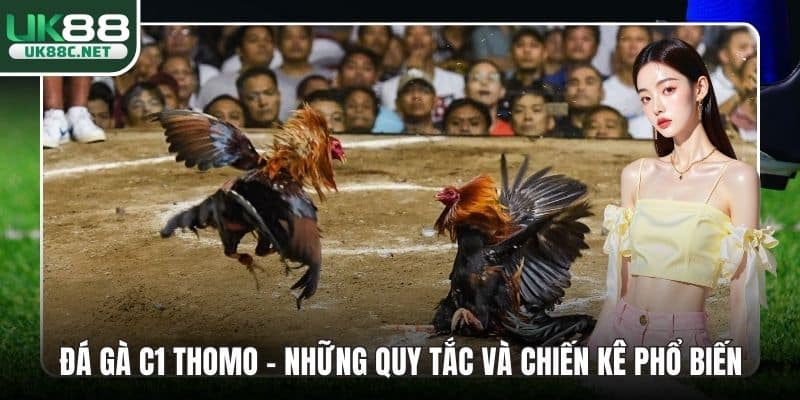Đá gà C1 thomo