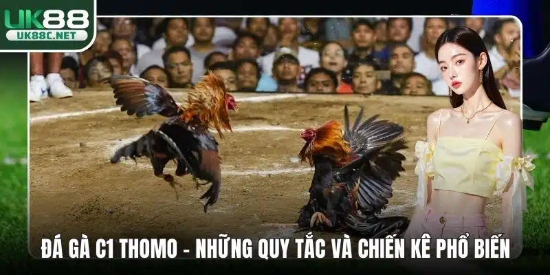 Đá gà C1 thomo
