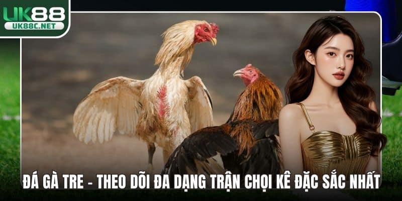 Đá gà tre