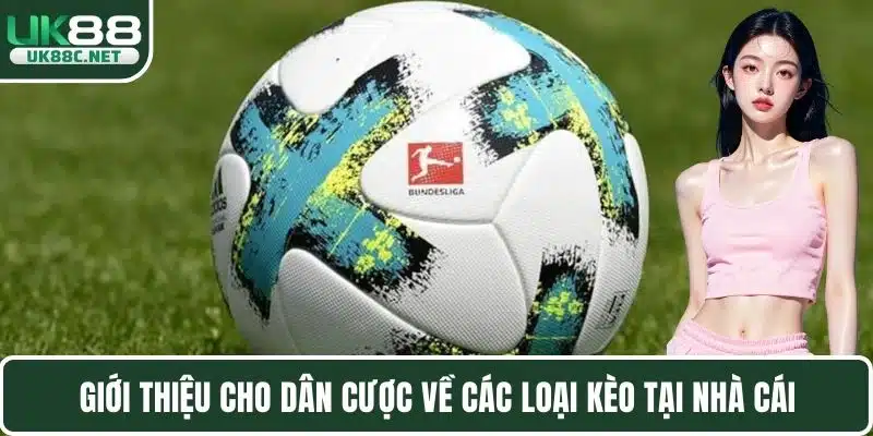 Giới thiệu cho dân cược về các loại kèo tại nhà cái