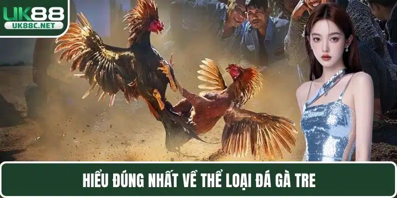 Hiểu đúng nhất về thể loại đá gà tre