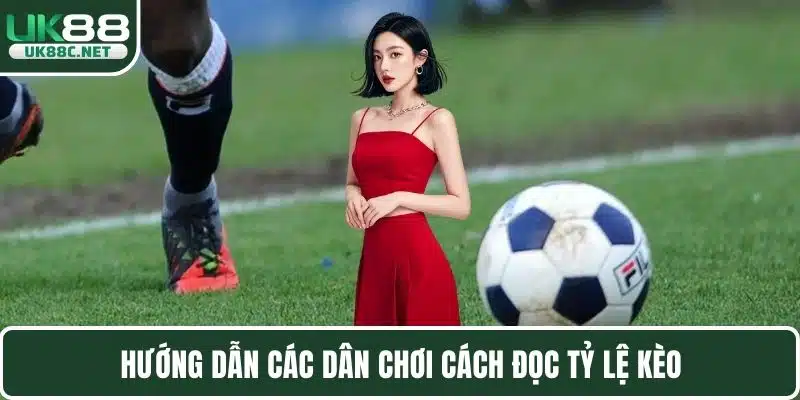 Hướng dẫn các dân chơi cách đọc tỷ lệ kèo