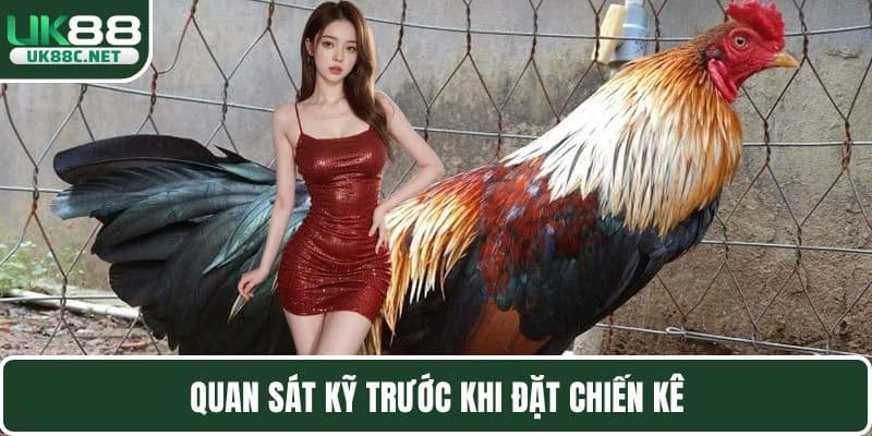 Quan sát kỹ trước khi đặt chiến kê