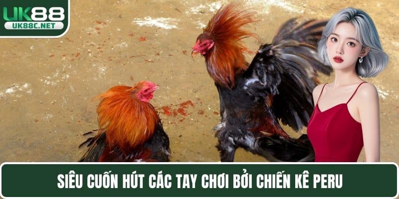 Siêu cuốn hút các tay chơi bởi chiến kê Peru