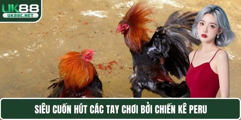 Siêu cuốn hút các tay chơi bởi chiến kê Peru 